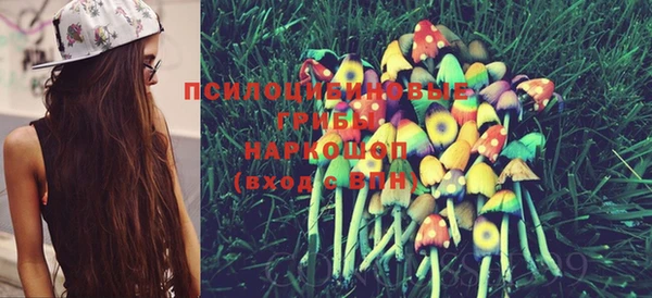 ECSTASY Медногорск